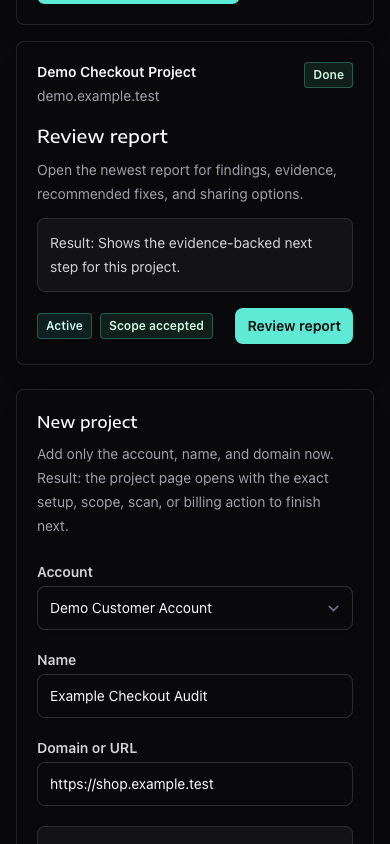 WebRiskOps new project modal with account, name, domain and optional setup details